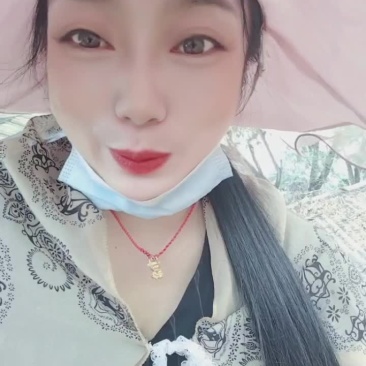杂木屑