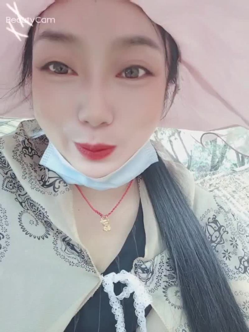 杂木屑