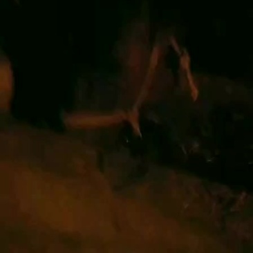 骡马