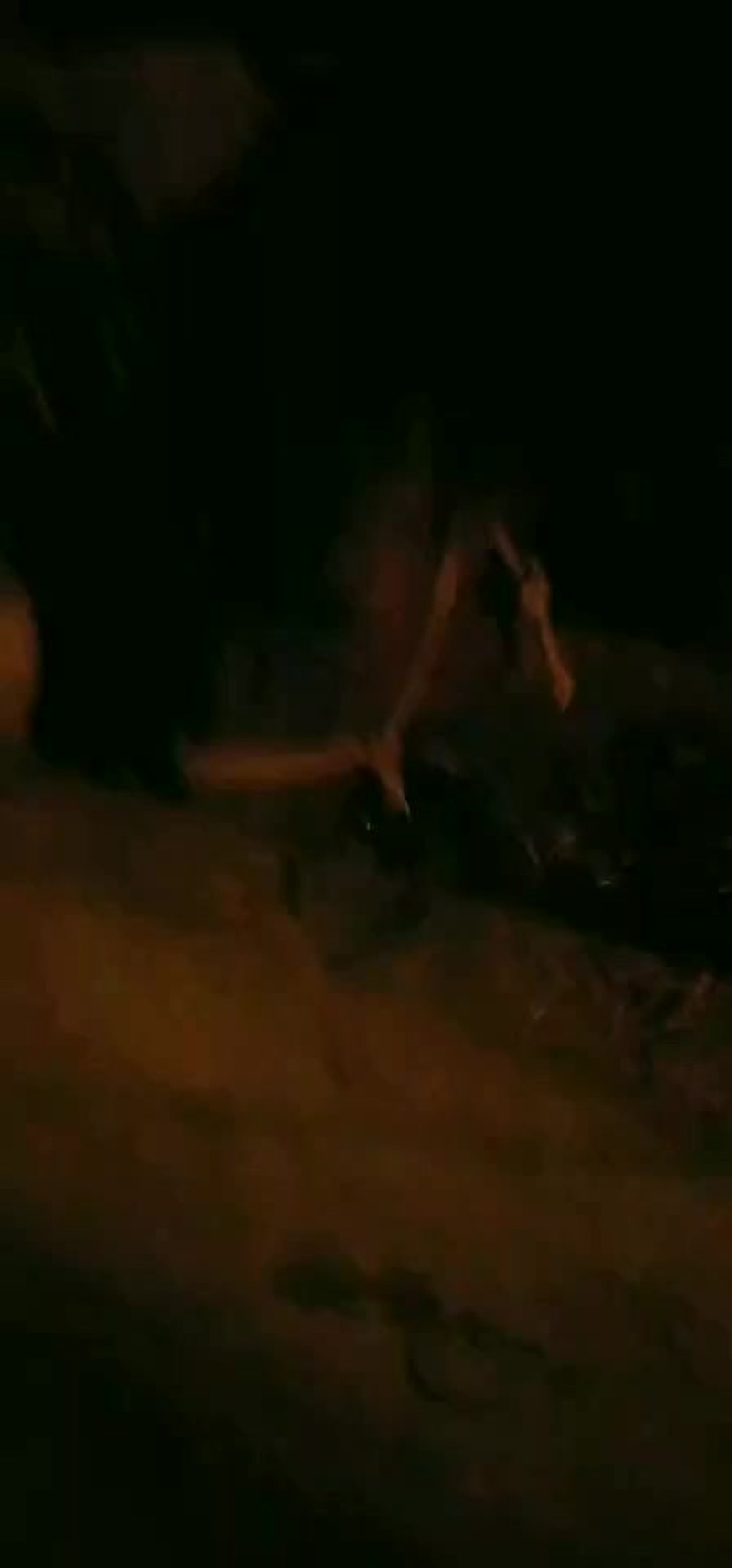 骡马