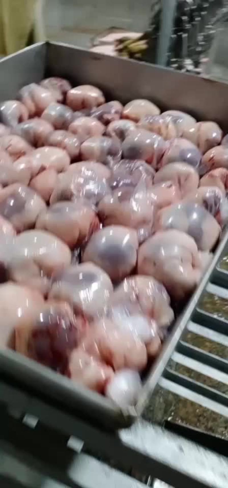 内蒙古锡林浩特原油腰子《厂家直销》