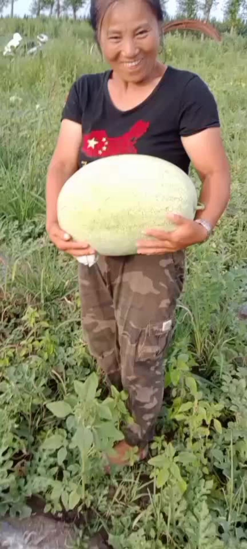 新开园价格便宜