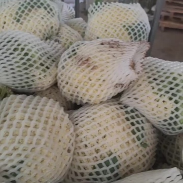 沽源精品80有机花菜