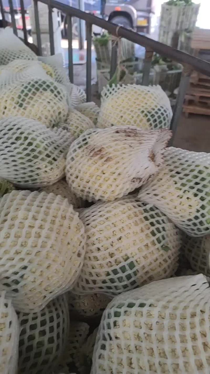 沽源精品80有机花菜