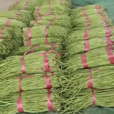 长豆角