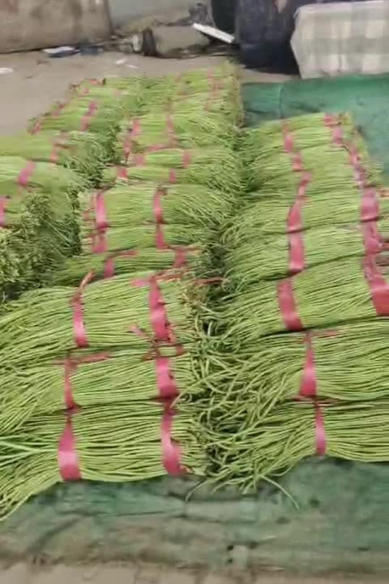 长豆角