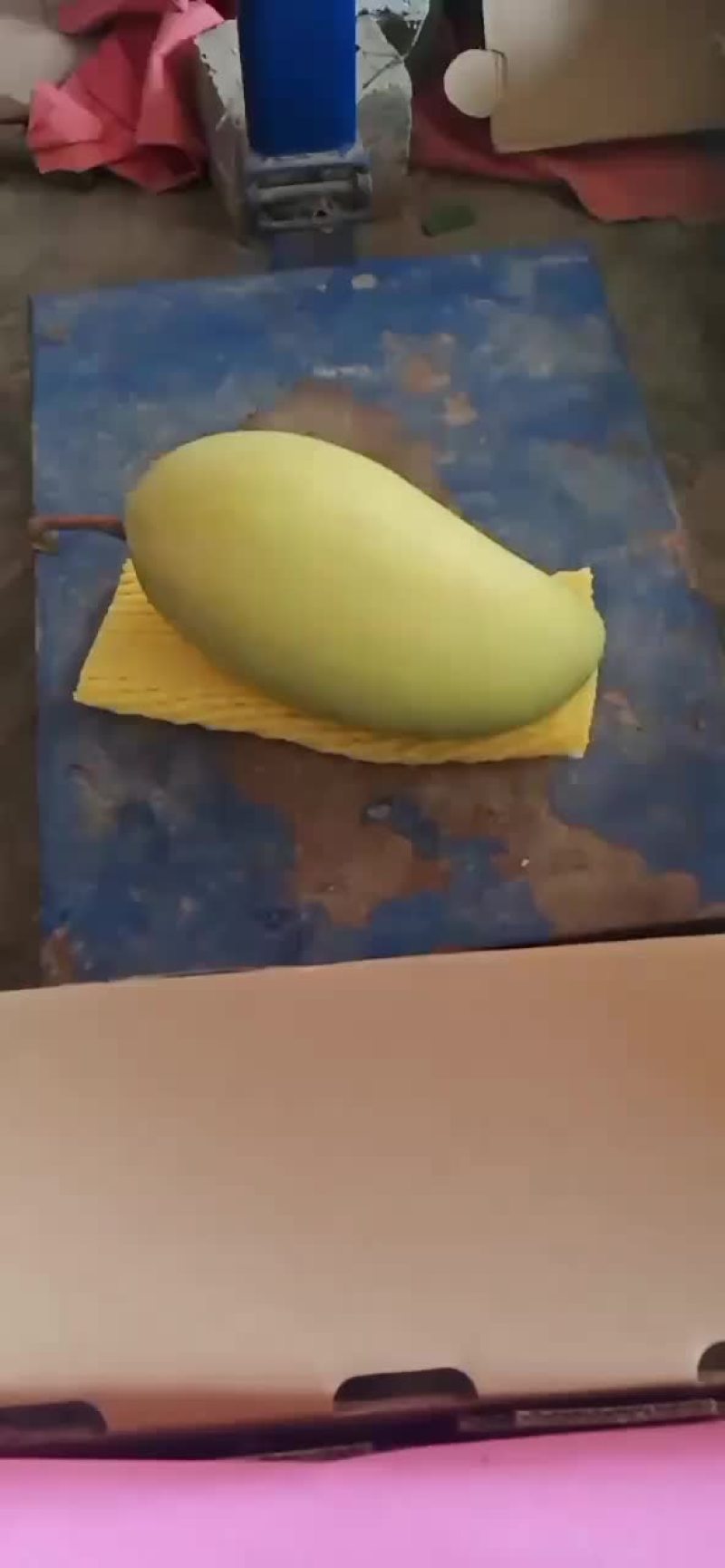 金黄芒