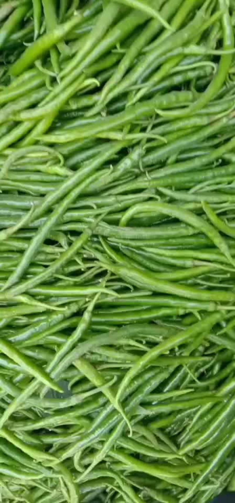 鲜辣椒