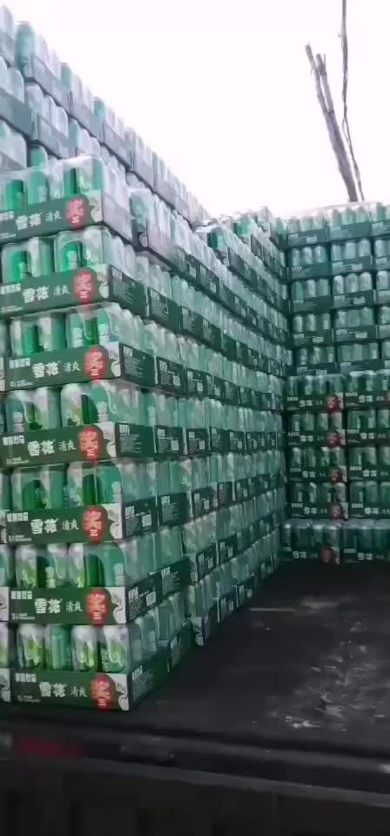 仓库直出雪花清爽啤酒
