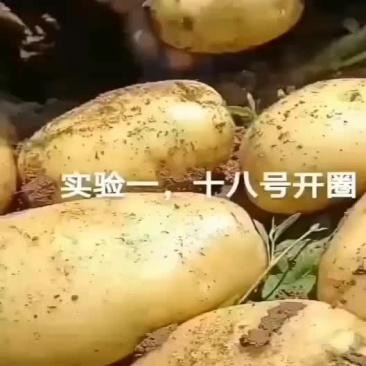 实验1