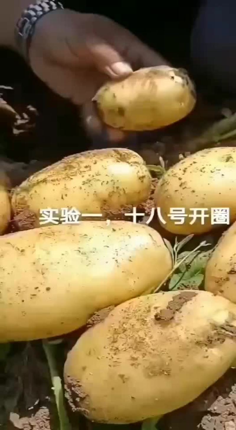 实验1