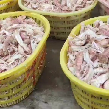 皮皮虾弹虾爬爬虾，，熟冻