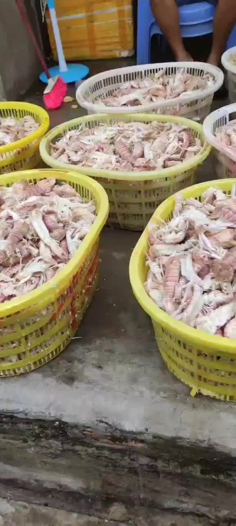 皮皮虾弹虾爬爬虾，，熟冻