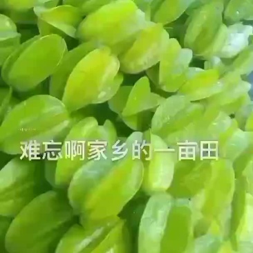 增城杨桃清甜爽口