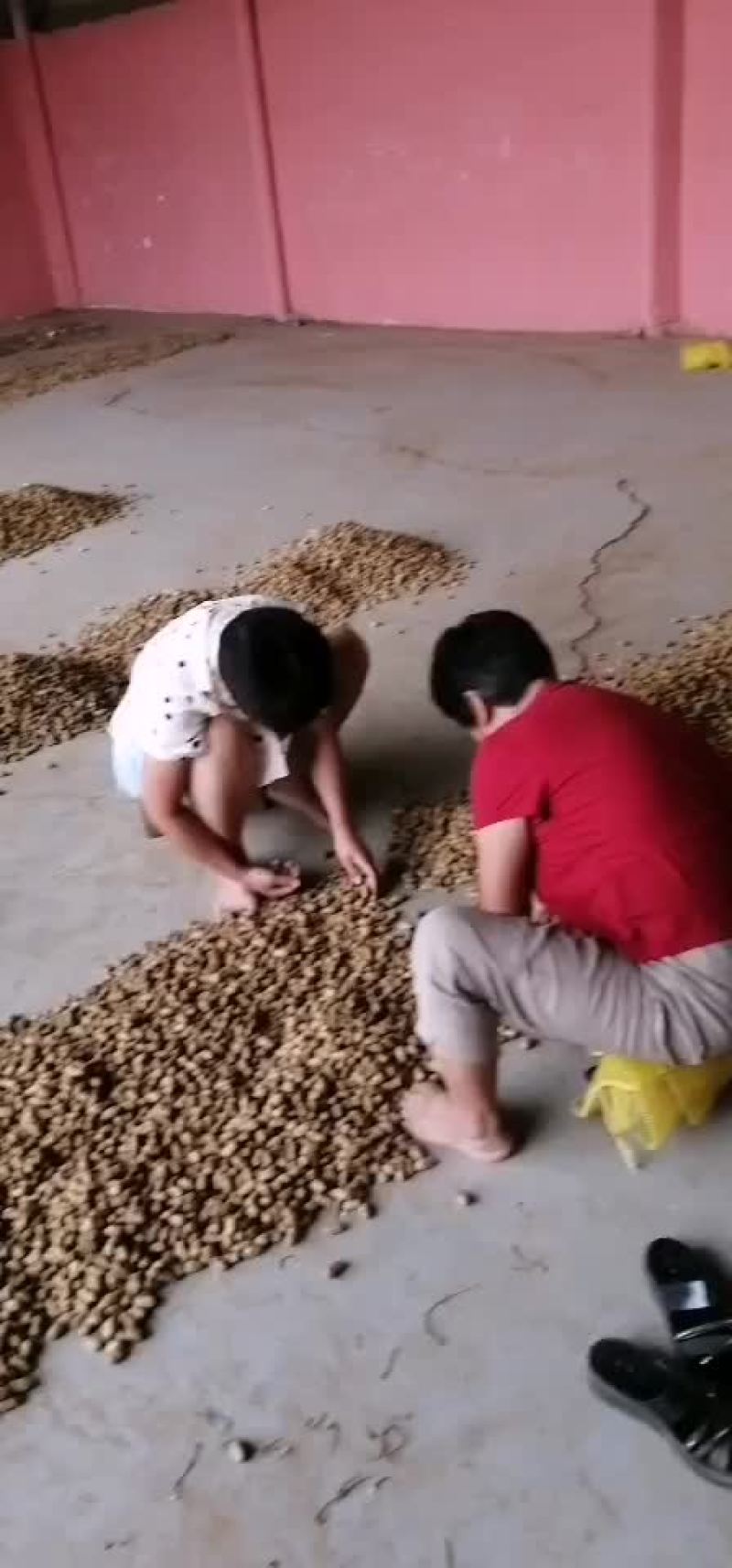花生