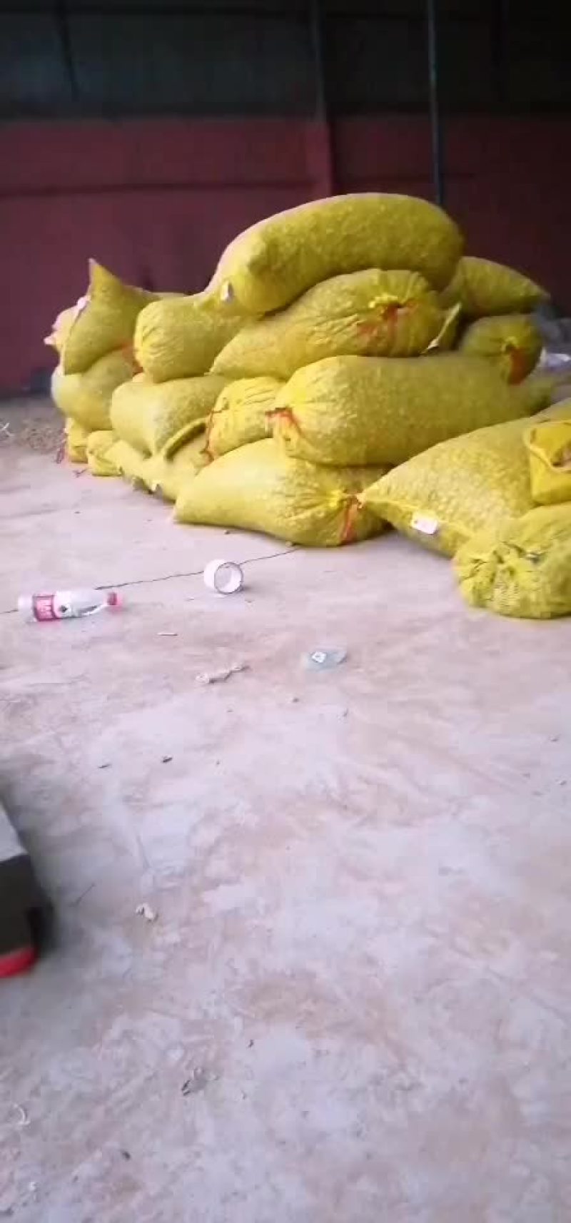 花生
