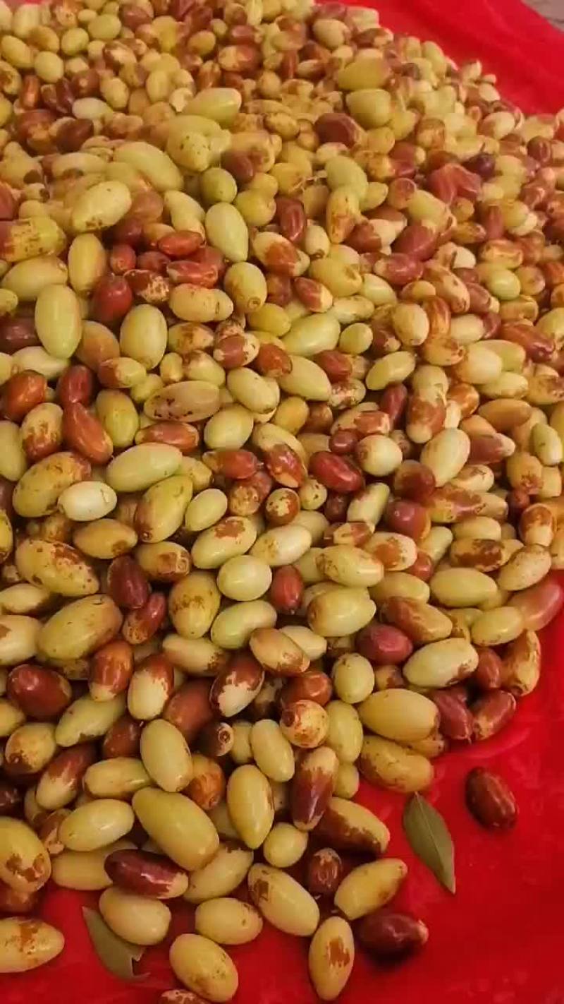 马牙枣