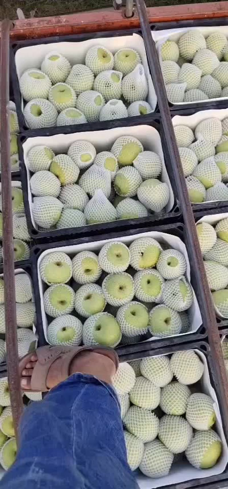 梨
