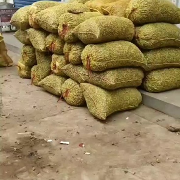 土特产