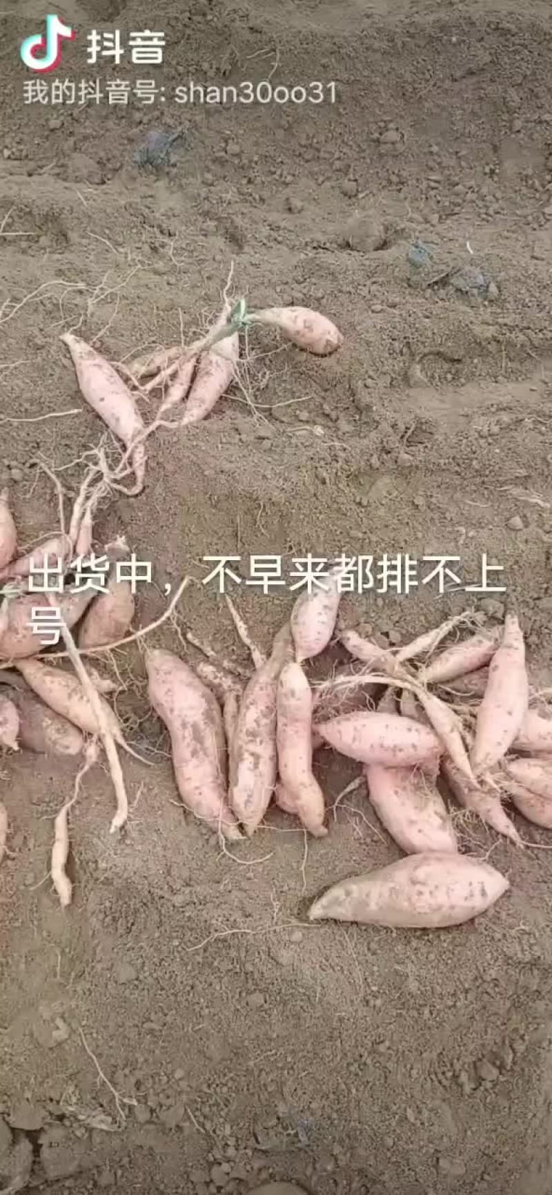土特产