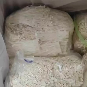 金针菇散装大包，大量现货，餐厅饭店食堂小吃摊进～