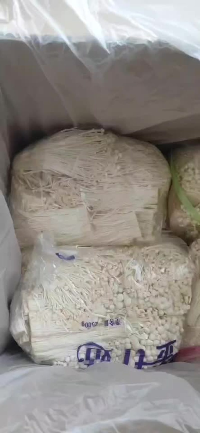 金针菇散装大包，大量现货，餐厅饭店食堂小吃摊进～