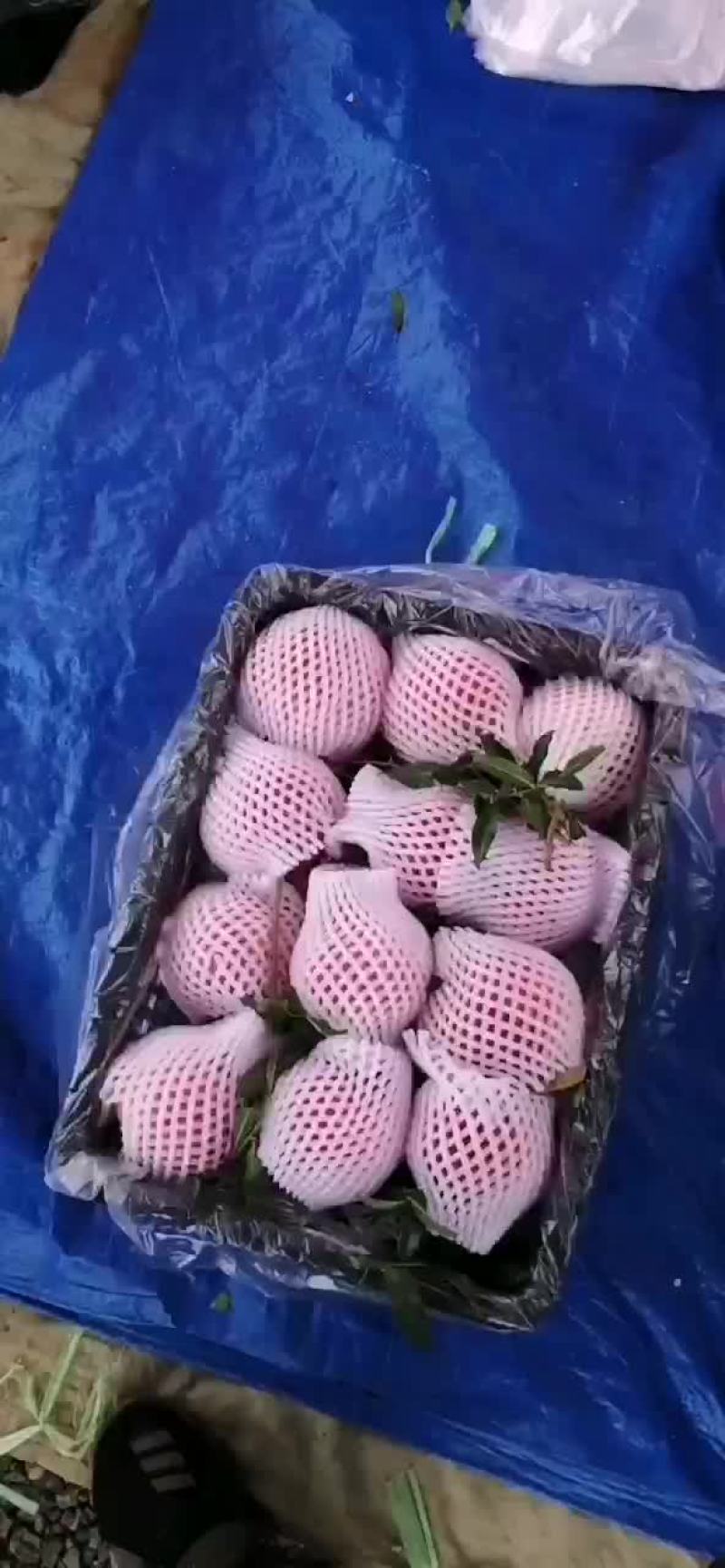 欢迎各位老板来采购