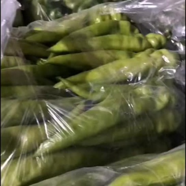 蔬菜