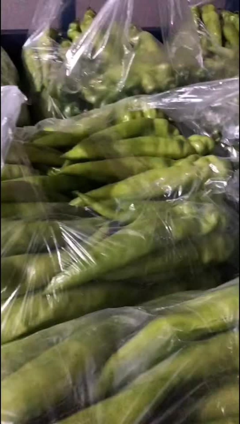 蔬菜