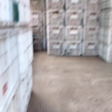 皇冠梨