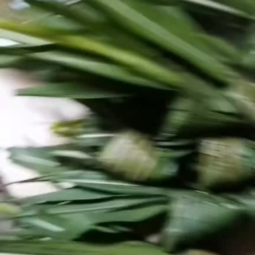 灰水粽
