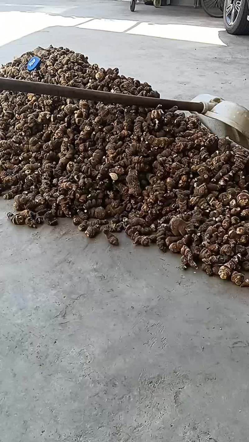 重楼，又叫七叶＿枝花