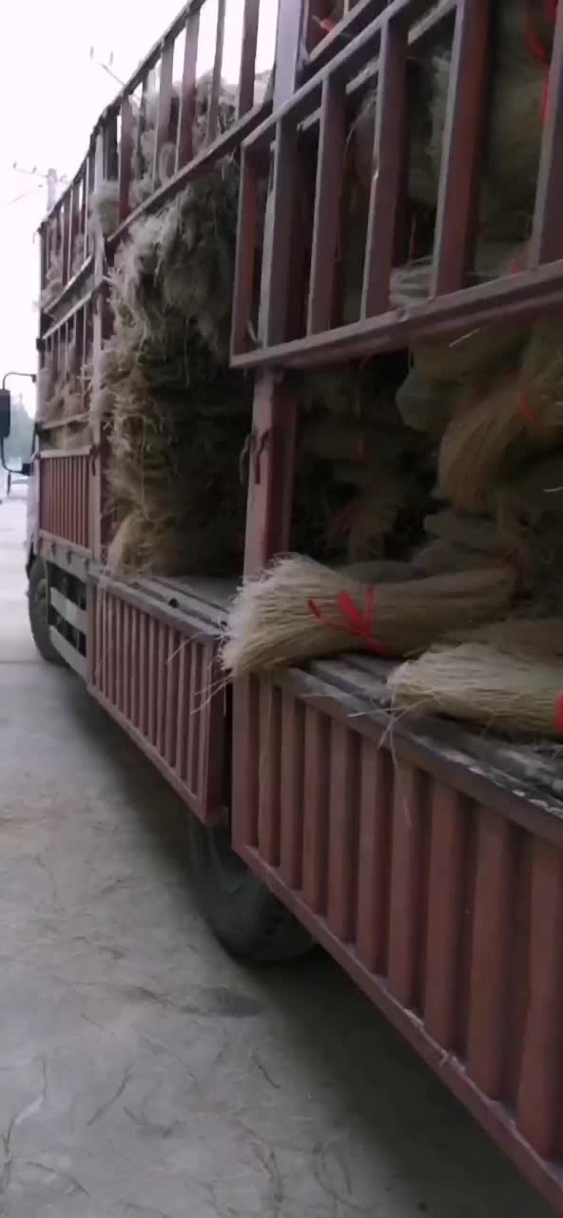 红薯粉条