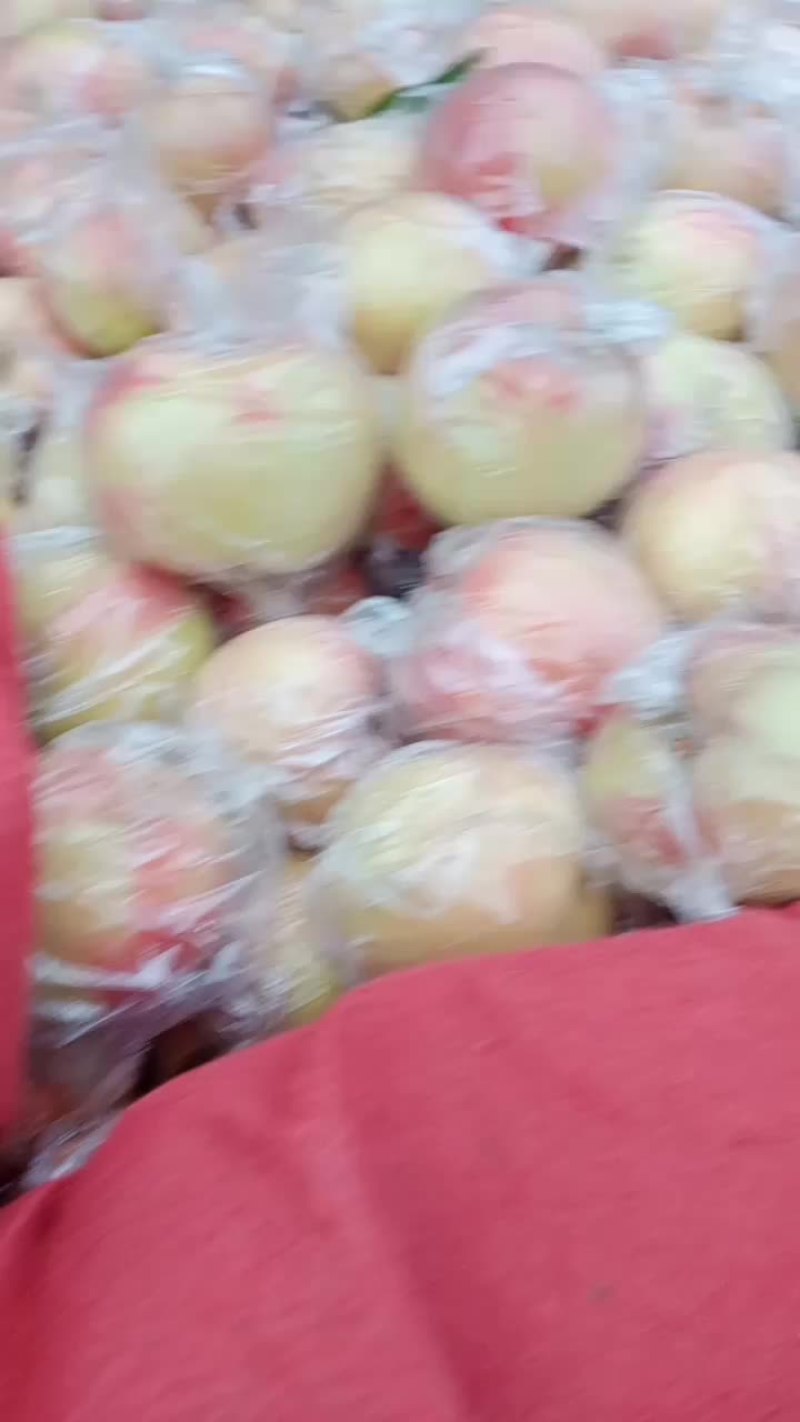 75以上毛桃