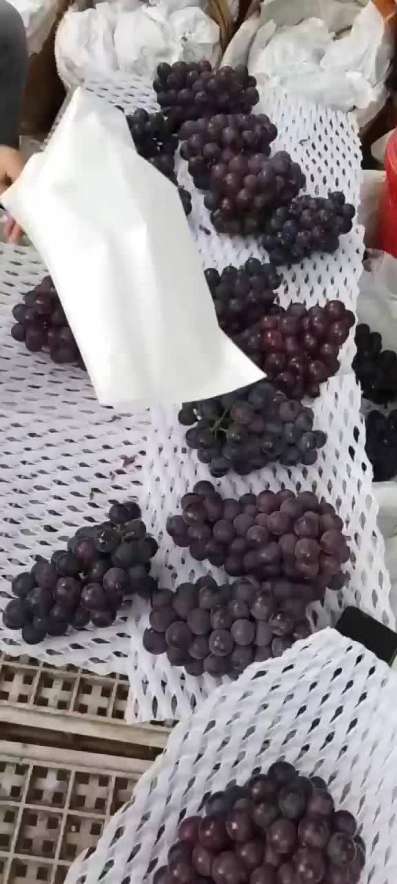 巨峰葡萄，味美，果大！
