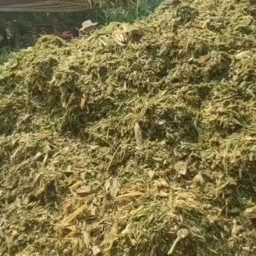 青储