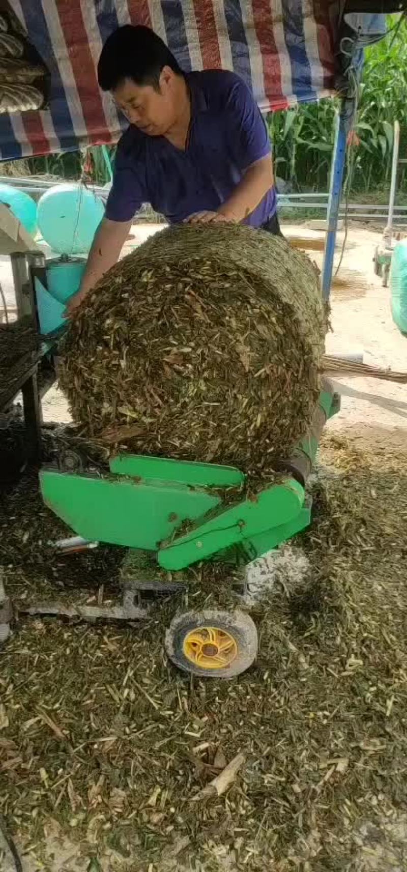 青储