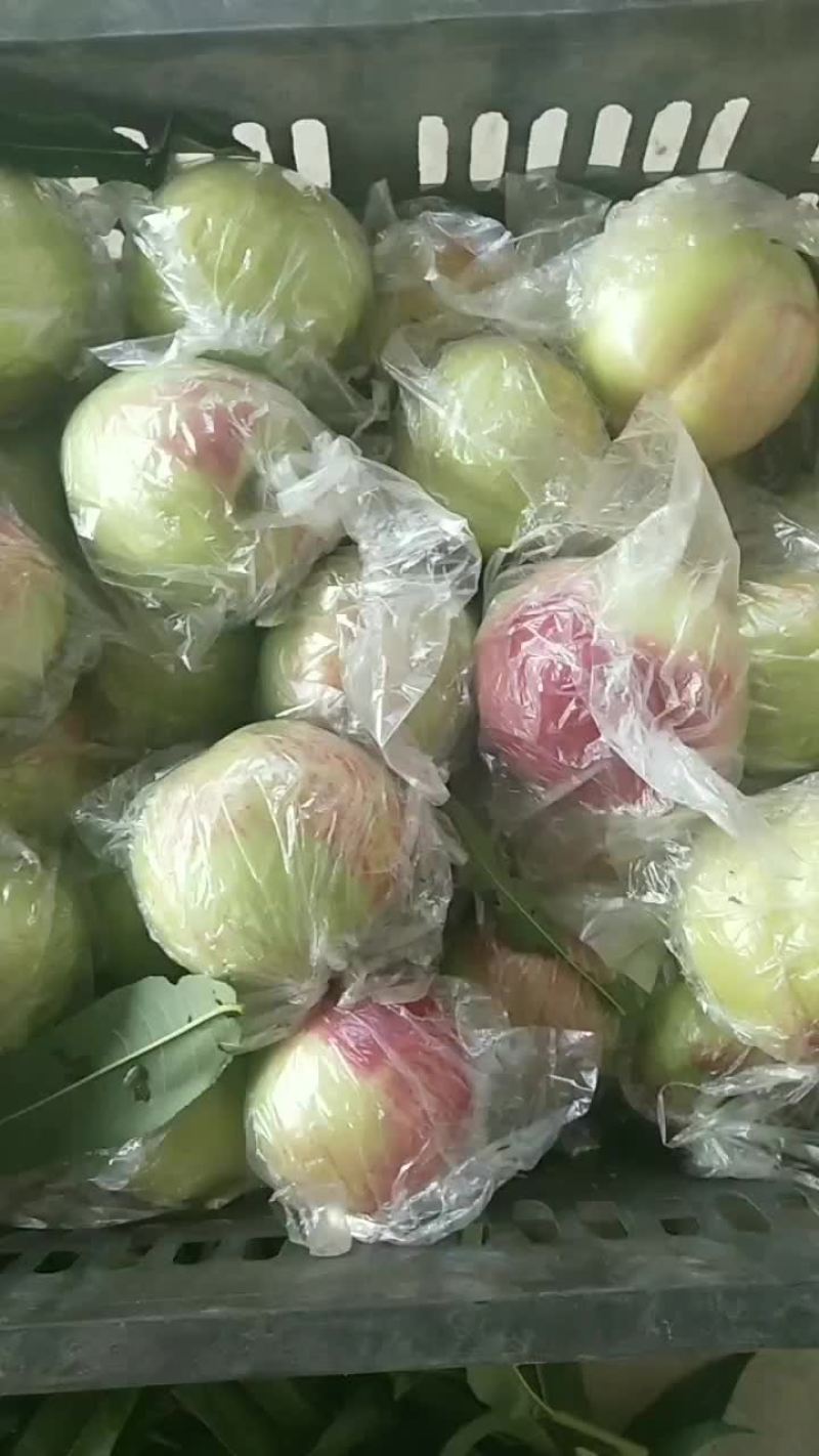 迎秋油桃