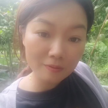 黄金百香果
