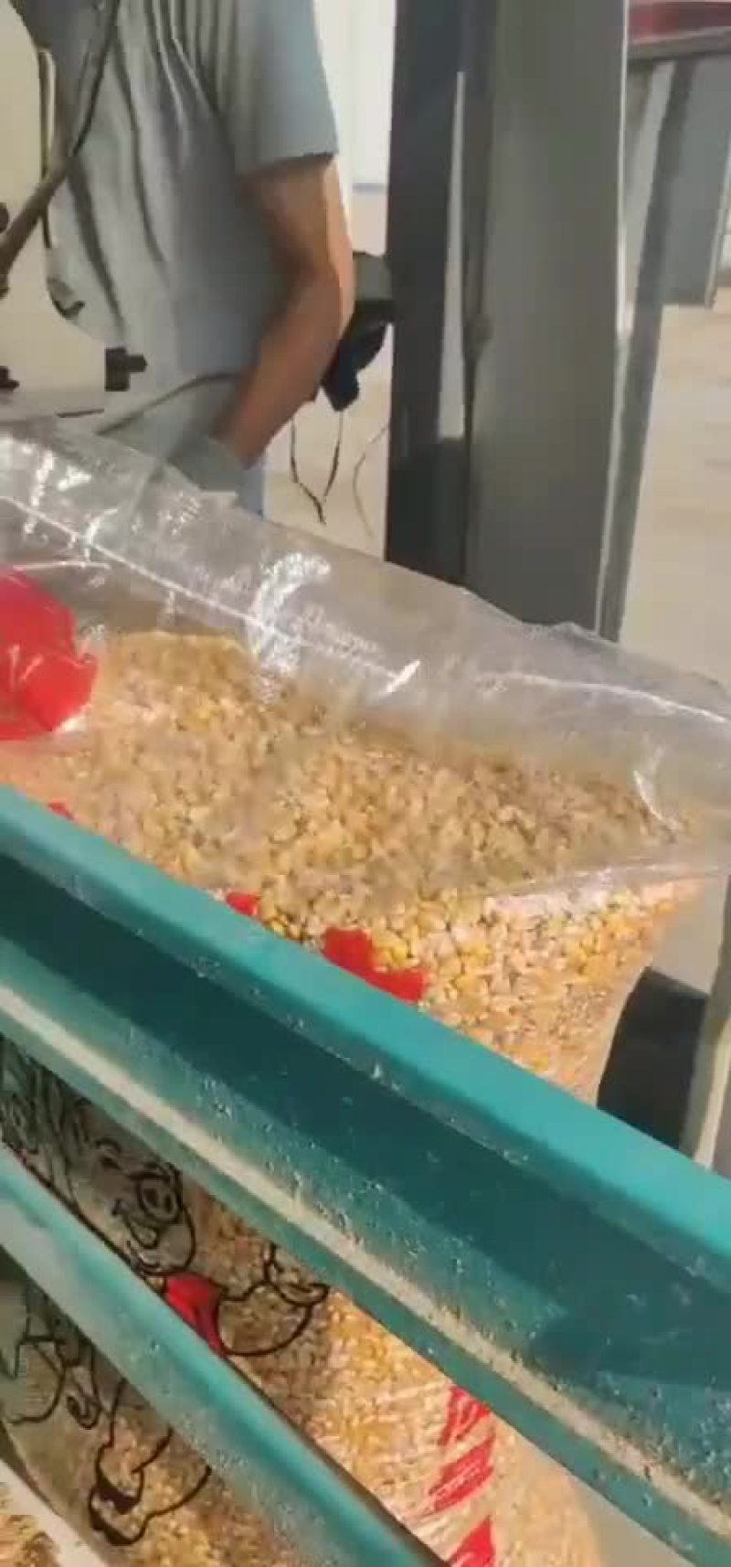 出售养殖玉米