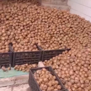 陕西眉县绿心徐香猕猴桃