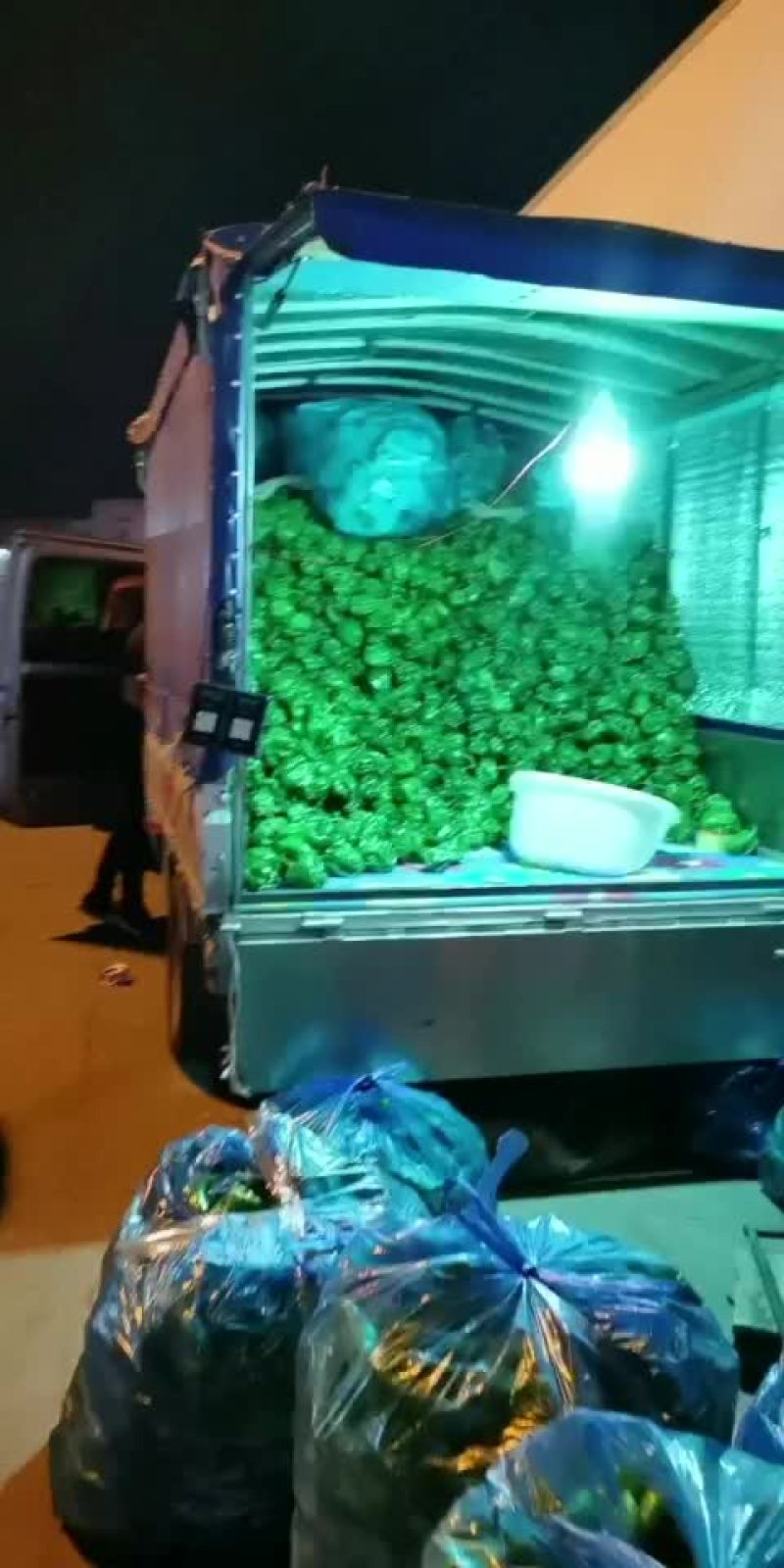 精品胡萝卜