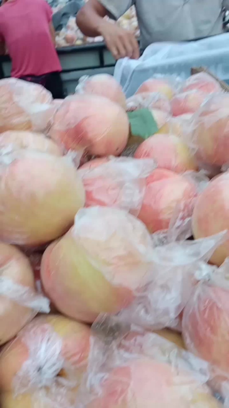 毛桃