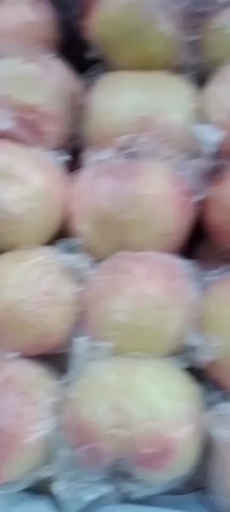 毛桃