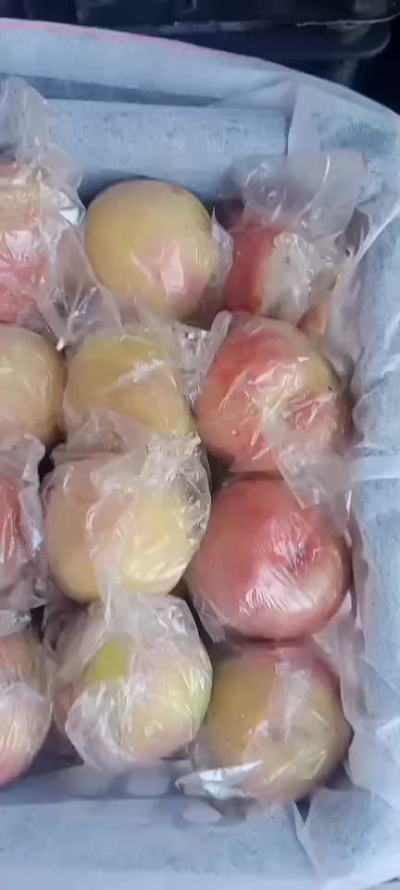 毛桃