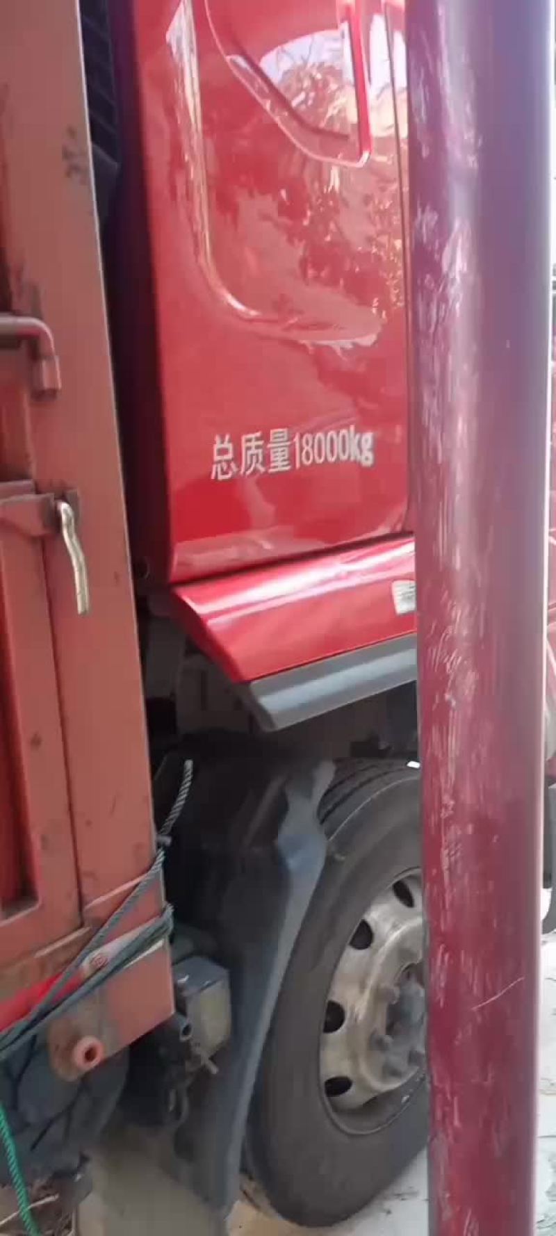 毛桃