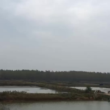 精养鱼塘虾塘蟹塘出租