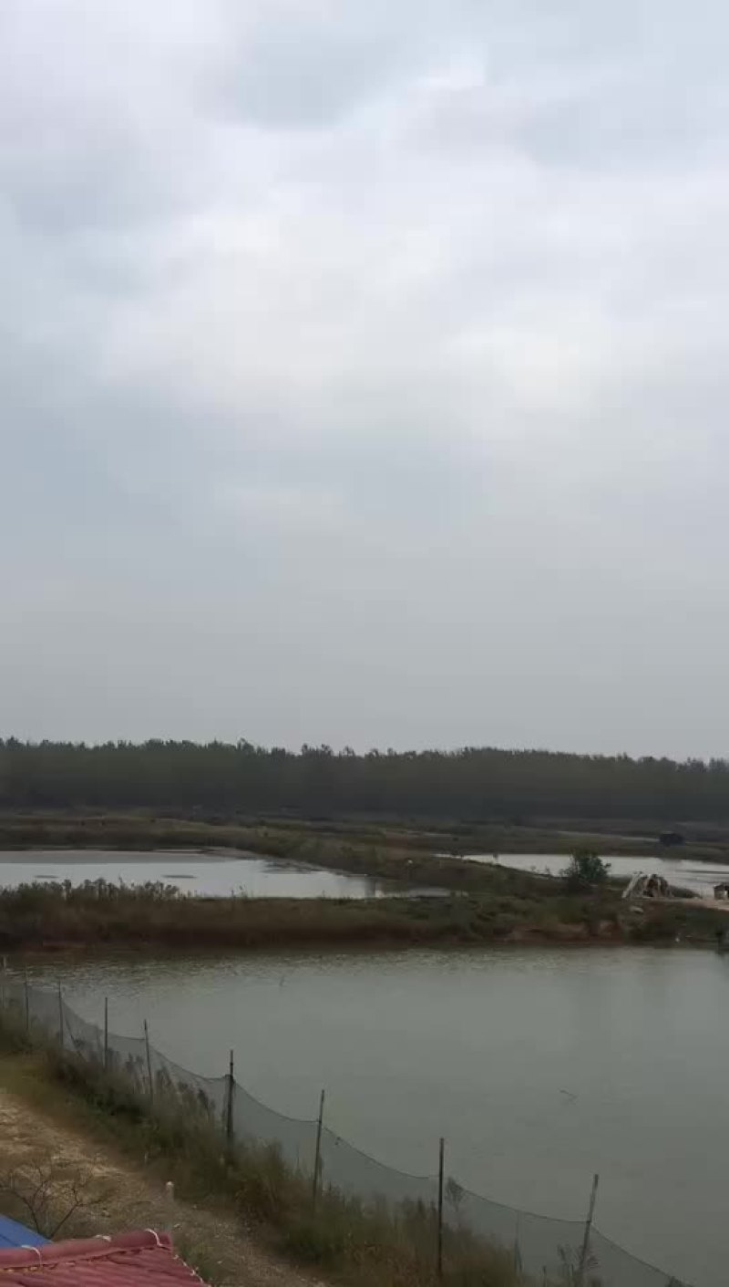 精养鱼塘虾塘蟹塘出租