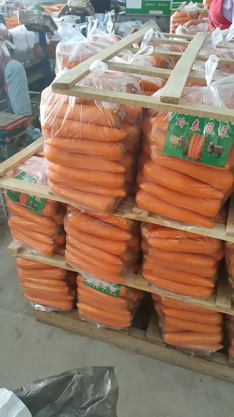 精品胡萝卜