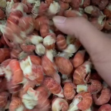 龙虾尾，原料，成品，批发定制